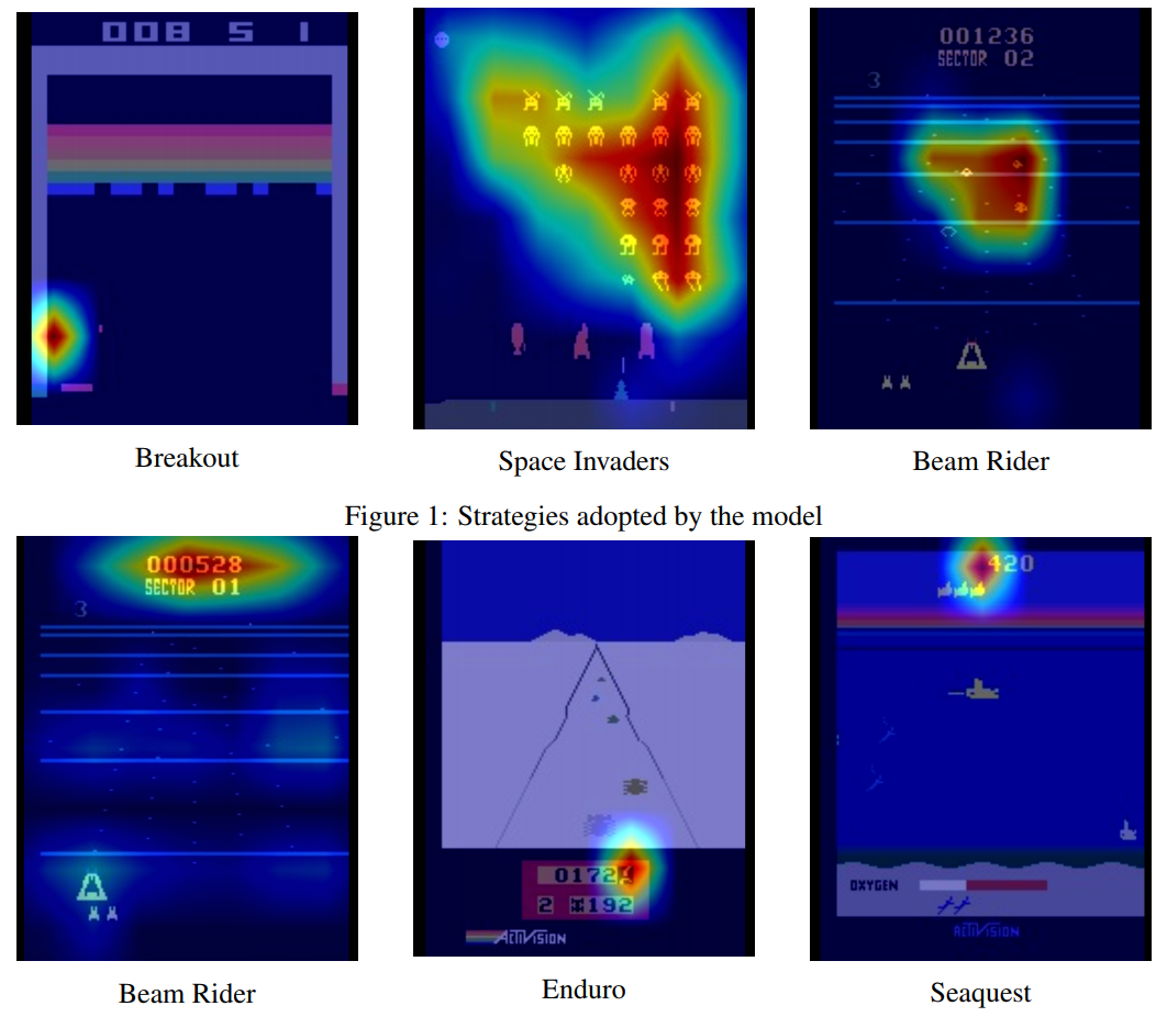 Feature Map Visualization